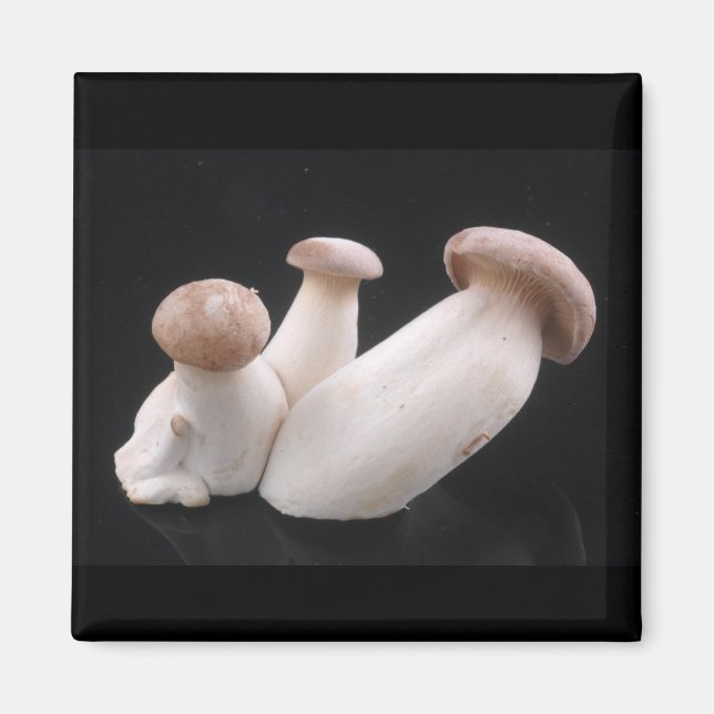 Íman Magnet Real Trumpet Mushroom (Frente)