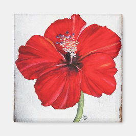 Íman Magnet Red Hibiscus