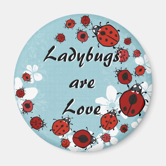 Íman Magnet Red Ladybug (Frente)