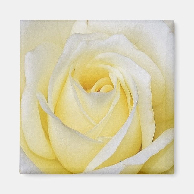 Íman Magnet Rosa Amarelo (Frente)