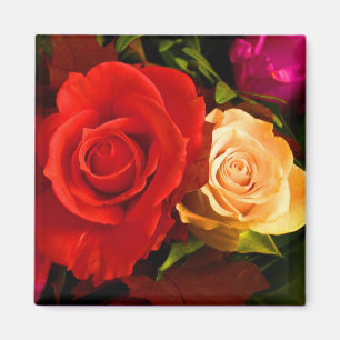 Íman Magnet Rosa Amarelo Vermelho - Personalizável