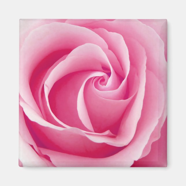 Íman Magnet Rosa Rosa - Quadrado (Frente)
