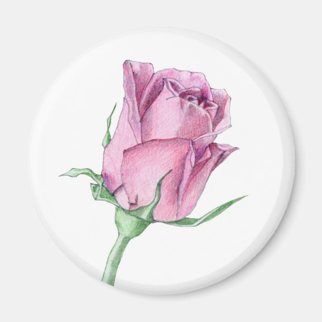 Íman Magnet Rosa Rosa Rosa Rosa Rosa Rosa (Frente)