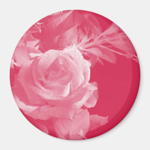 Íman Magnet Rosa Rosa Rosa Rosa Rosa Rosa