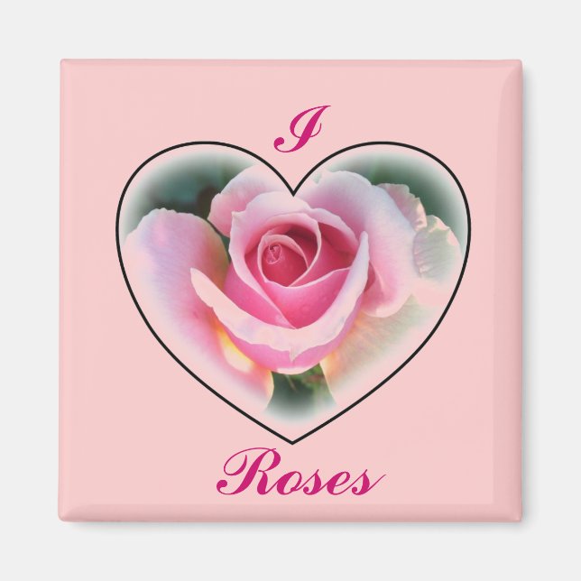 Íman Magnet Rosa Rosa Rosa Rosa Rosa Rosa (Frente)