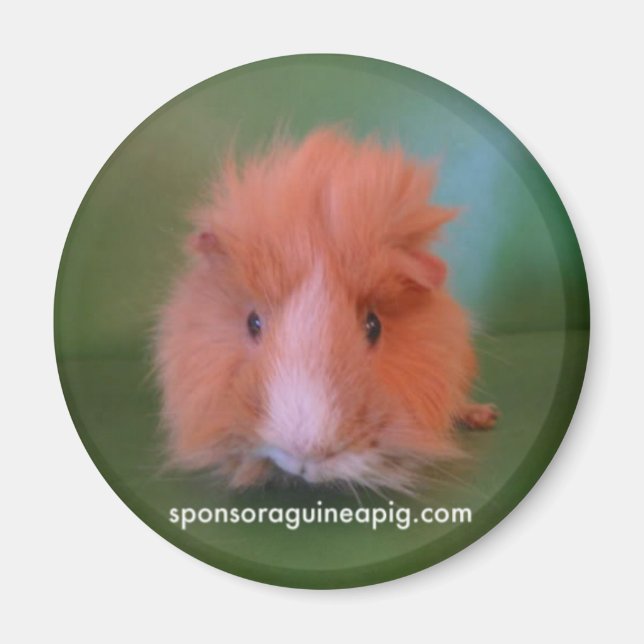 Íman Magnet SAGP (Frente)