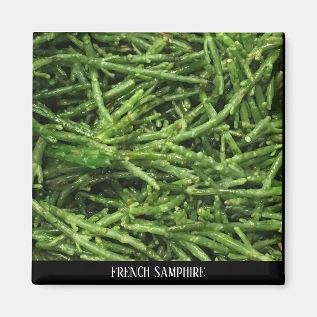 ÍMAN MAGNET - SAMPHIRE FRANCÊS (Frente)
