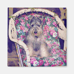 Íman Magnet Schnauzer