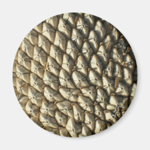 Íman Magnet - Sementes De Girassol