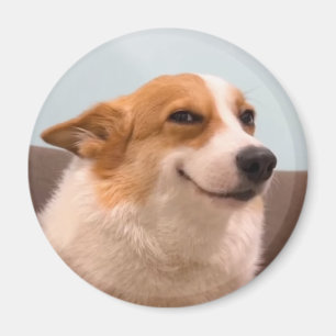 Íman Magnet Smiling Corgi Meme