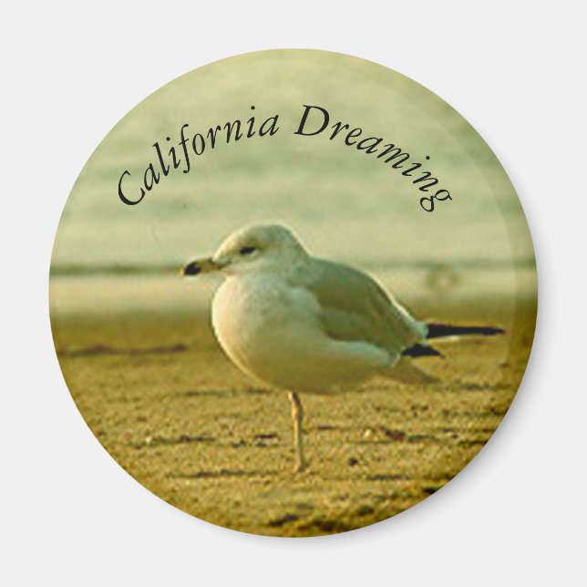 Íman Magnet - Sonho de Seagull (Frente)