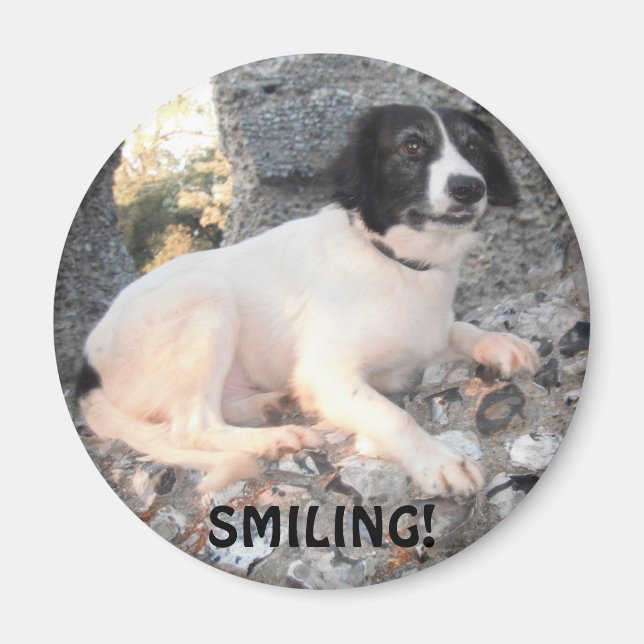 Íman Magnet Sprollie VIsiting Castle Smiling (Frente)