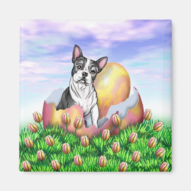 Íman Magnet surpresa da Páscoa de Boston Terrier (Frente)
