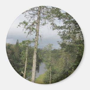 Íman Magnet Tarn Hows Trees