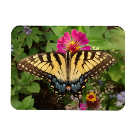 Íman Magnet Tigre Swallowtail Butterfly 3"x4"