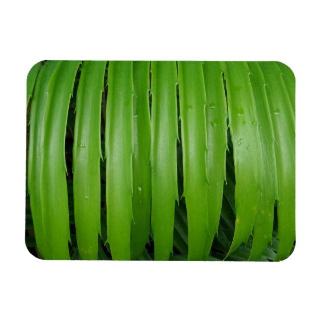 Íman Magnet Verde 3"x4" (Horizontal)
