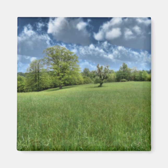 Íman Magnet Verde Appalachian (Frente)