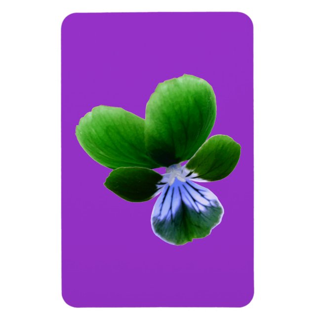 Íman Magnet Verde Pansy Premium (Vertical)