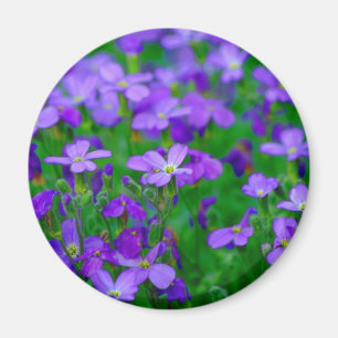 Íman Magnet Violet Flowers