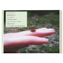 magnet -who we are in Christ