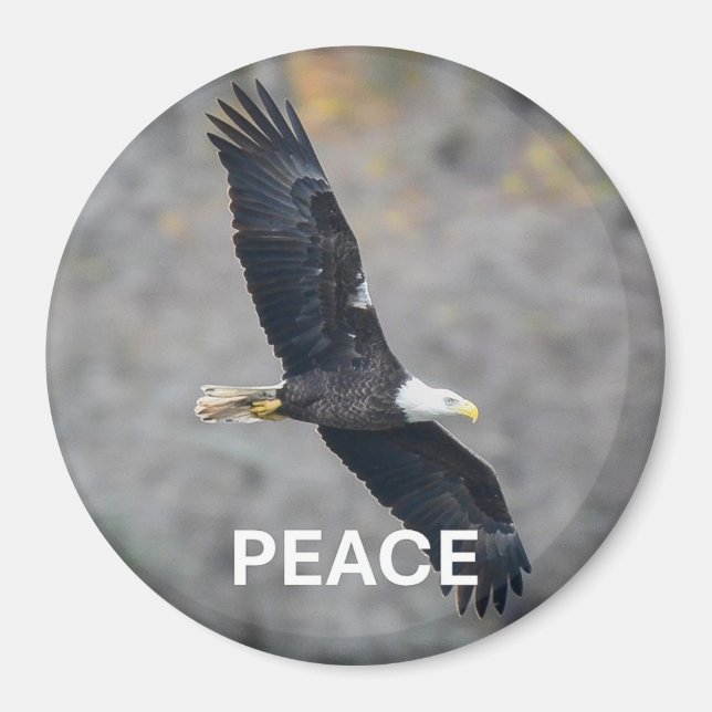 Íman Magnet with Bald Eagle picture and the word Peace (Frente)