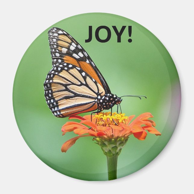 Íman Magnet with Monarch butterfly, flower, and JOY! (Frente)