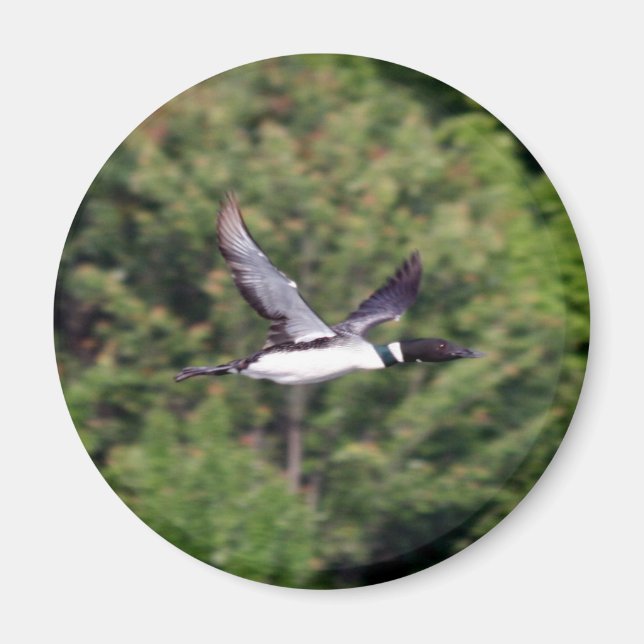 Íman Magneta (Frente)