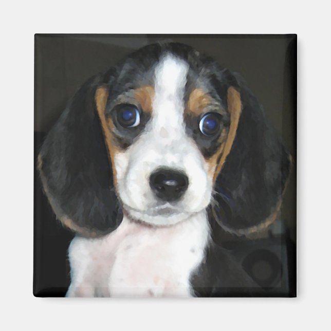 Íman Magneta 2 do Beagle (Frente)