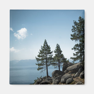 Íman Magneta Advantage