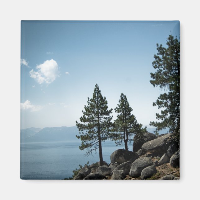 Íman Magneta Advantage (Frente)