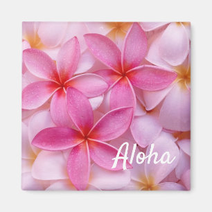 Íman Magneta Aloha