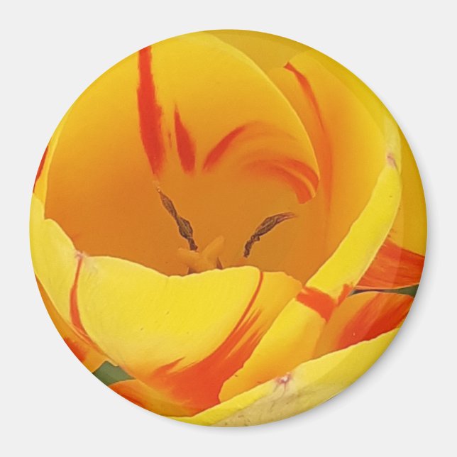 Íman Magneta amarela (Frente)