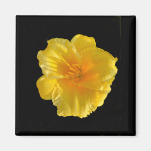 Íman Magneta amarela quadrada de 2 polegadas