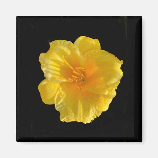 Íman Magneta amarela quadrada de 2 polegadas (Frente)