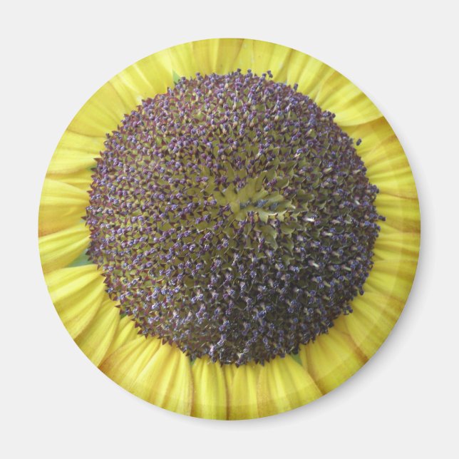 Íman Magneta Amarelo (Frente)