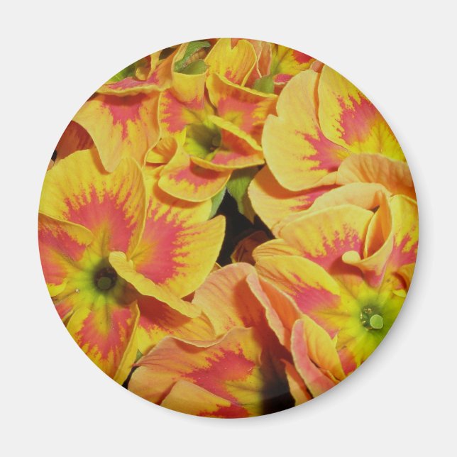 Íman Magneta Amarelo Laranja (Frente)