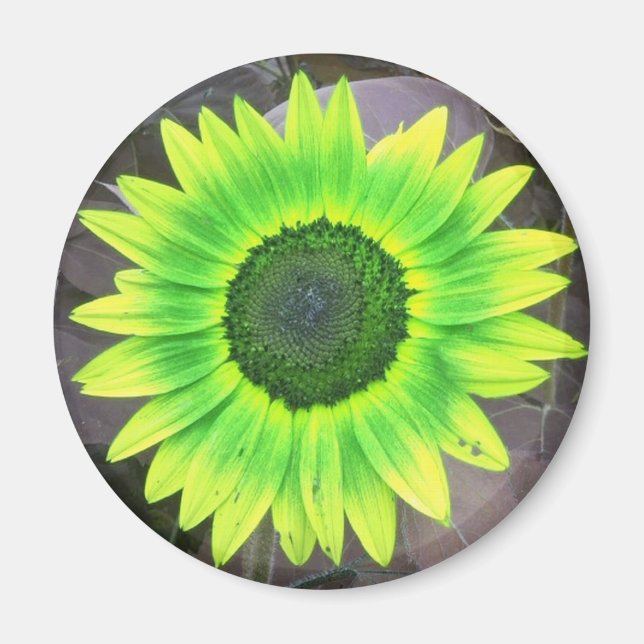 Íman Magneta Amarelo N Verde (Frente)