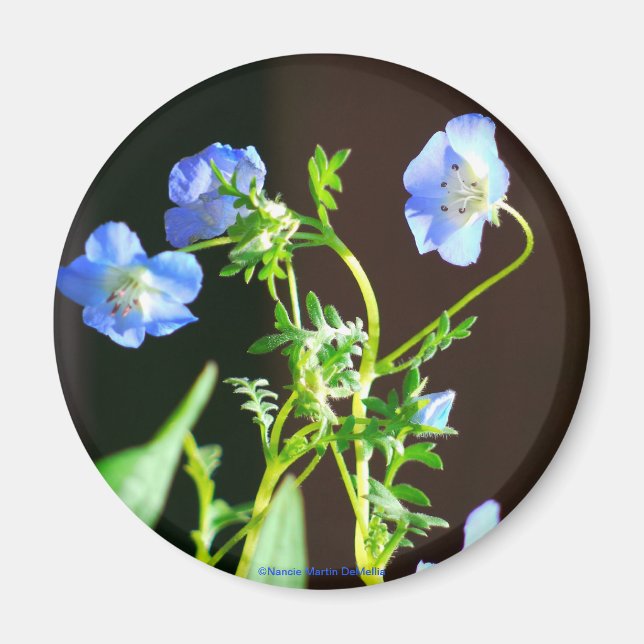Íman Magneta Azul (Frente)