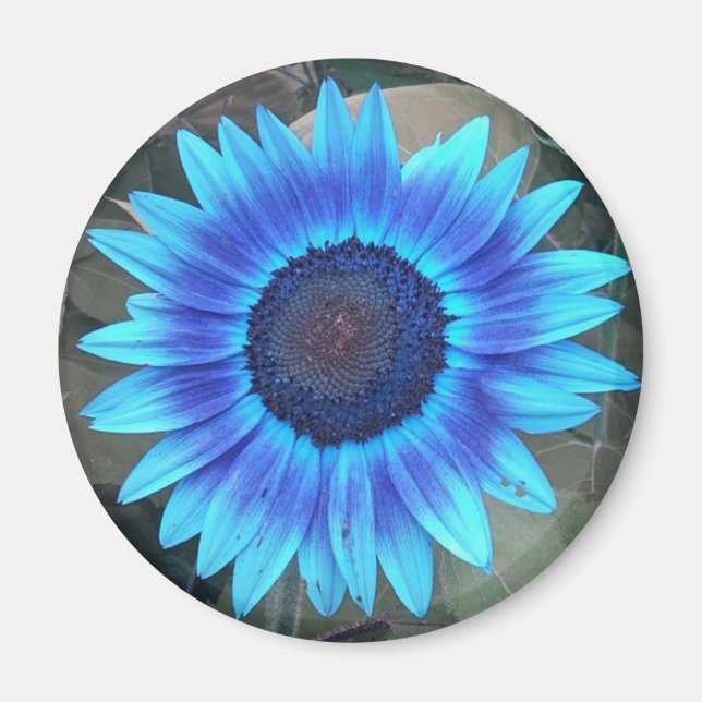 Íman Magneta Azul (Frente)
