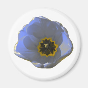Íman Magneta azul e amarela