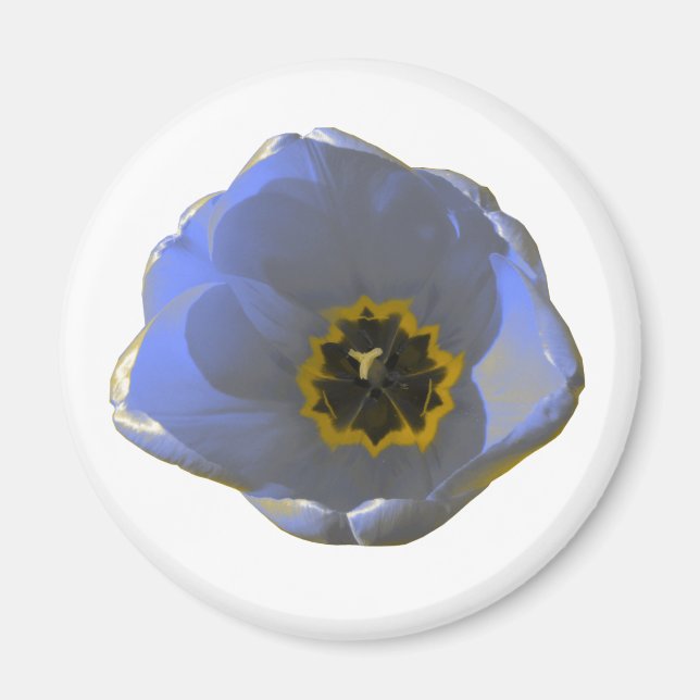 Íman Magneta azul e amarela (Frente)