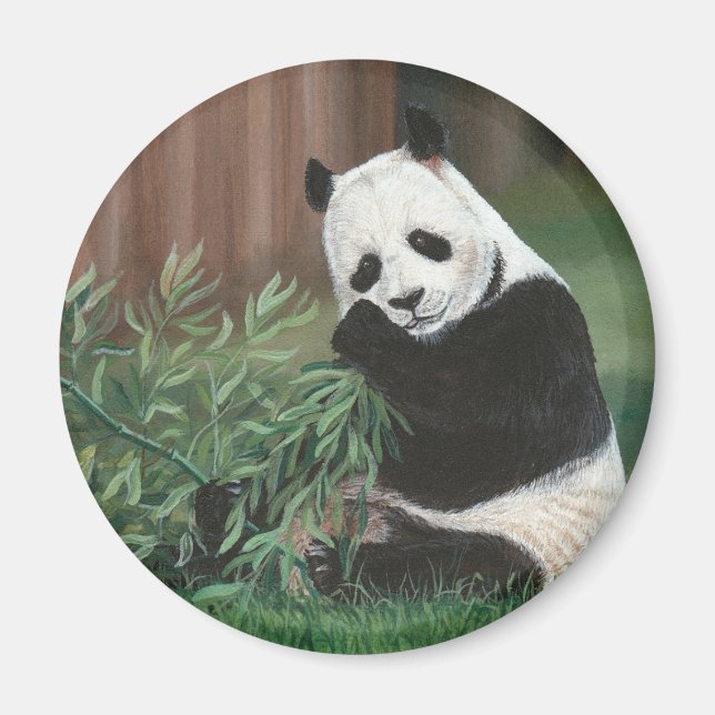 Íman Magneta Bamboo Panda Bear (Frente)