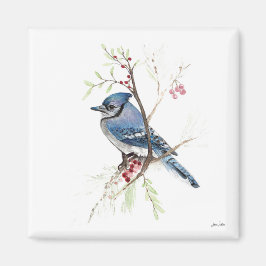 Íman Magneta Blue Jay Bird Watercolor