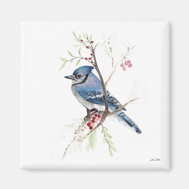 Íman Magneta Blue Jay Bird Watercolor (Frente)