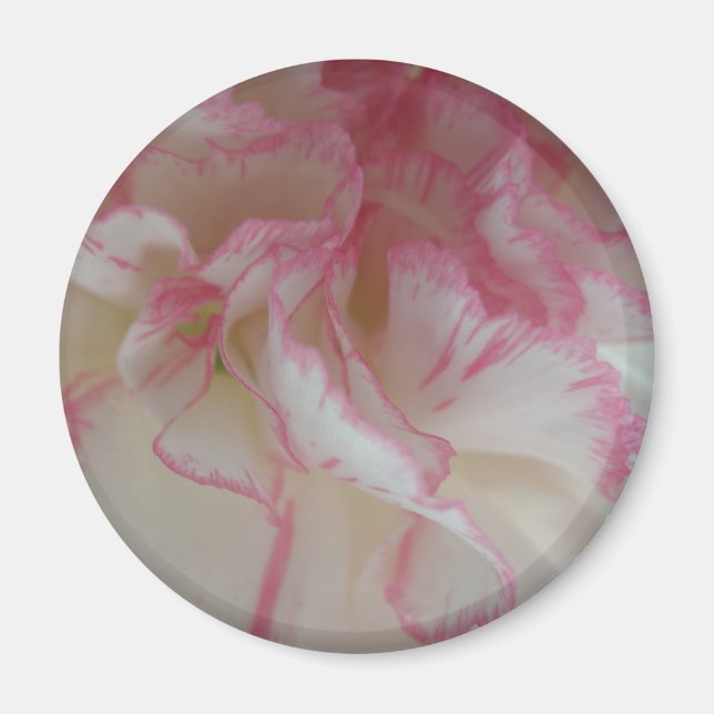 Íman Magneta branca e rosa (Frente)