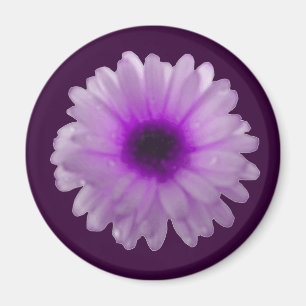 Íman Magneta branca e roxa