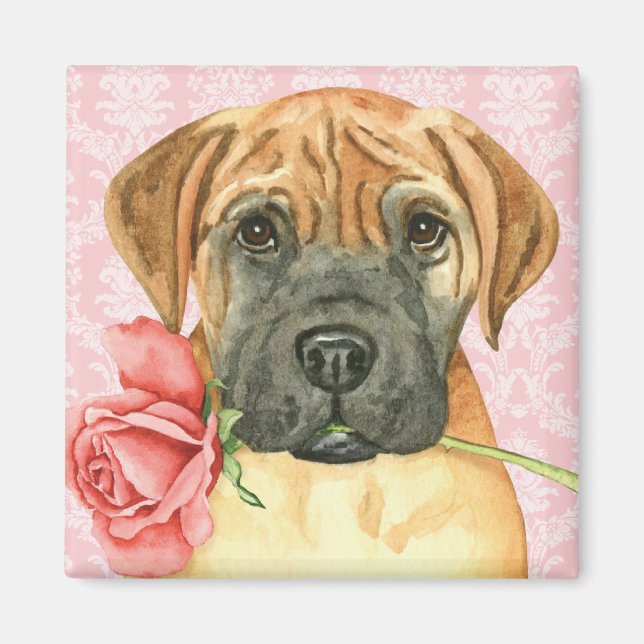 Íman Magneta Bullmastiff do Rosa namorados (Frente)