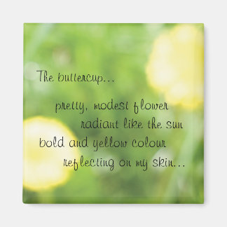 Íman Magneta Buttercamp