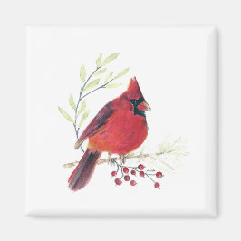 Íman Magneta Cardinal De Arte Por Aquarela