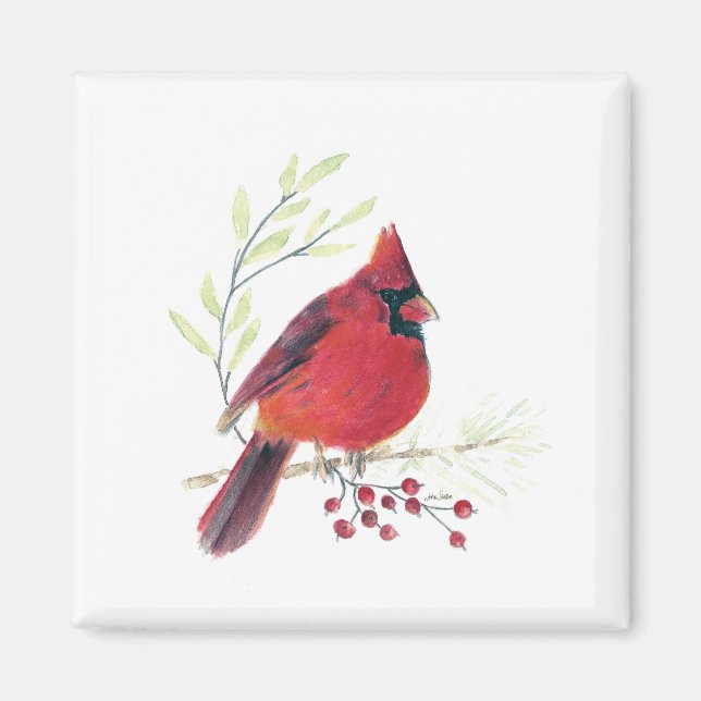 Íman Magneta Cardinal De Arte Por Aquarela (Frente)